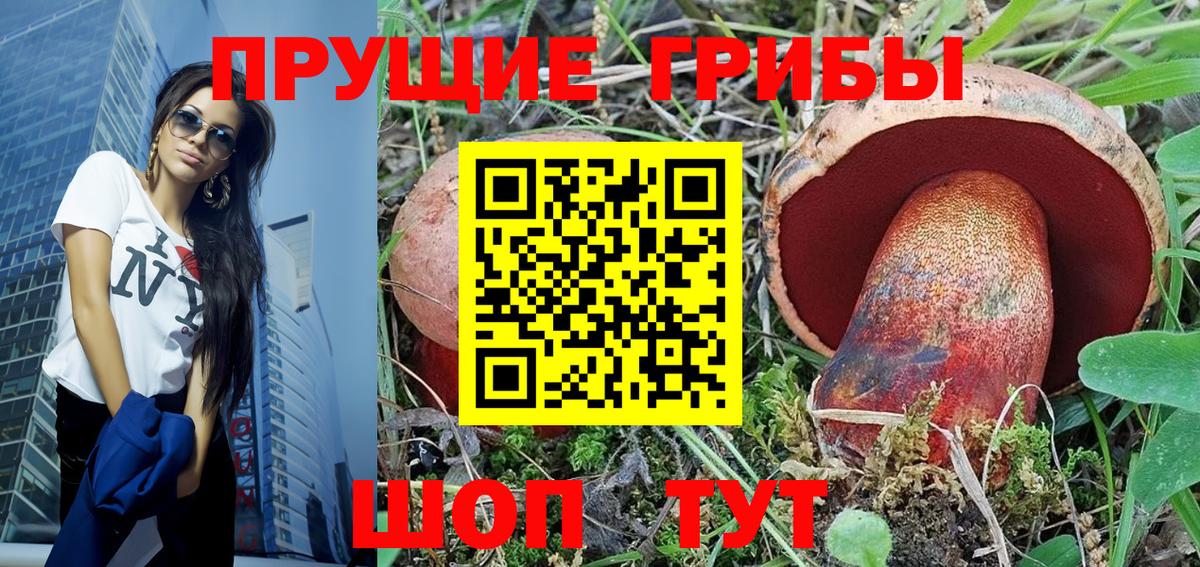 наркошоп  Галлюциногенные грибы Psilocybine cubensis  Вход с VPN  Михайловск  Псилоцибиновые грибы MAGIC MUSHROOMS 