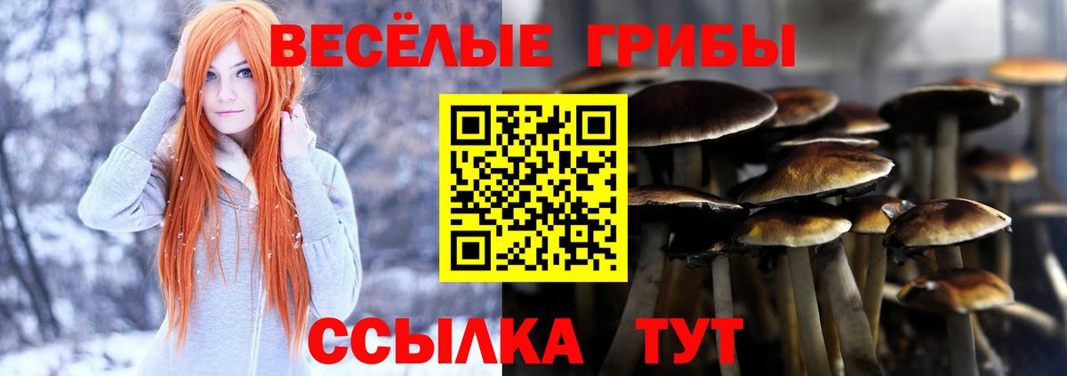 Галлюциногенные грибы Magic Shrooms Михайловск