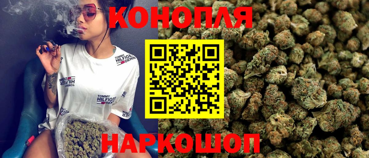 МАРИХУАНА план Михайловск